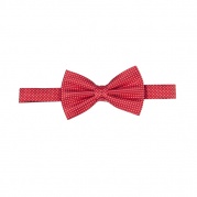 Галстук бабочка Pin Dot Bow Tie Red&White